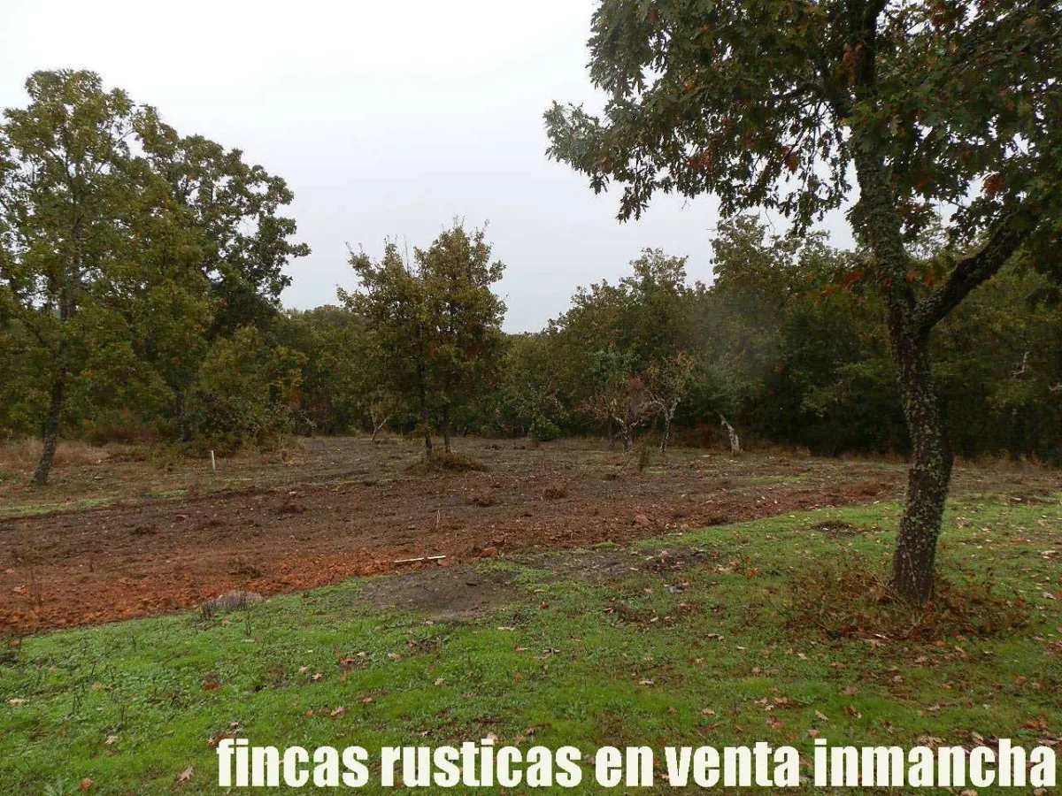 finca en venta 63 has. labor secano caza 