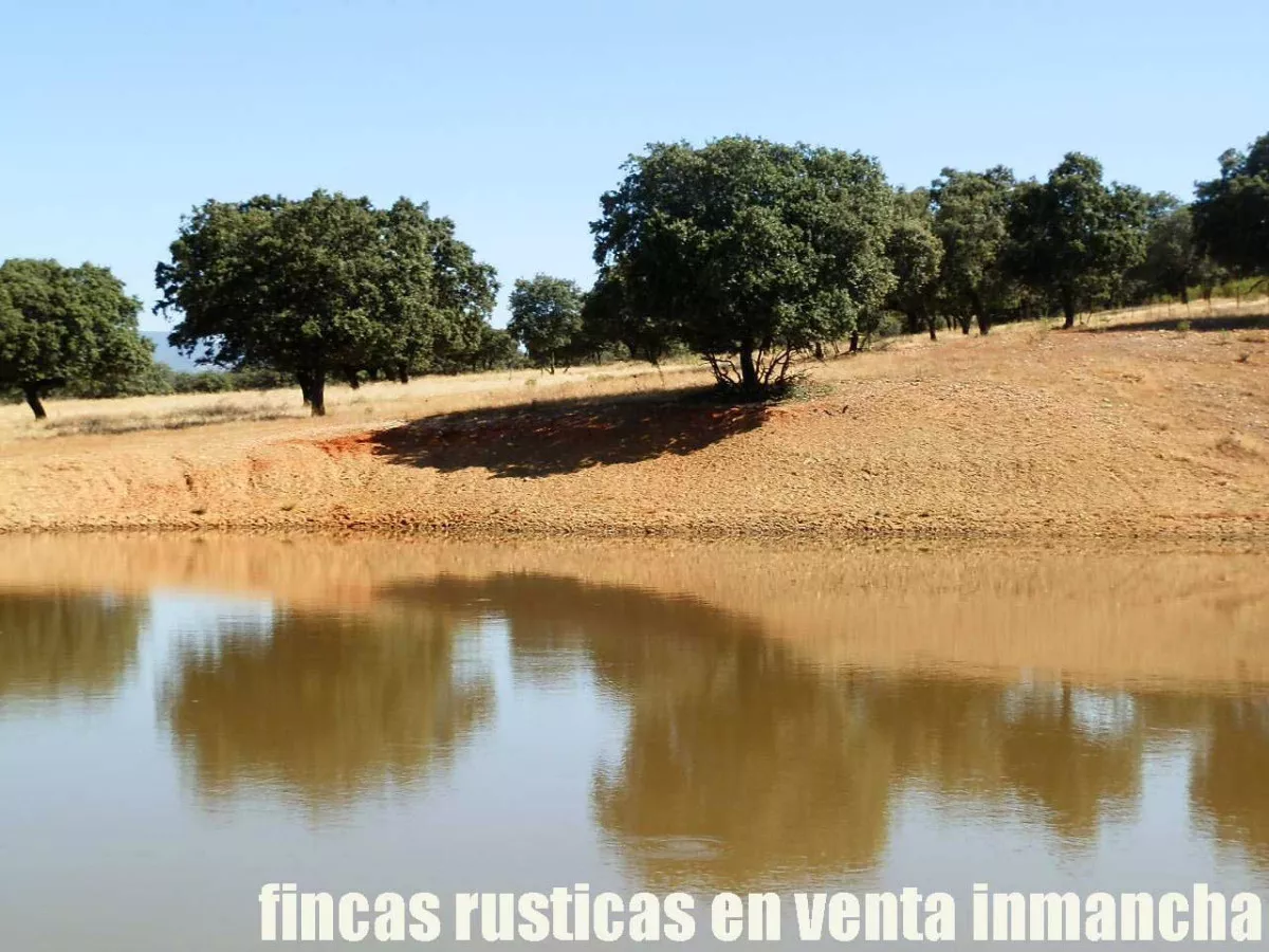finca en venta 350 has. labor secano caza 