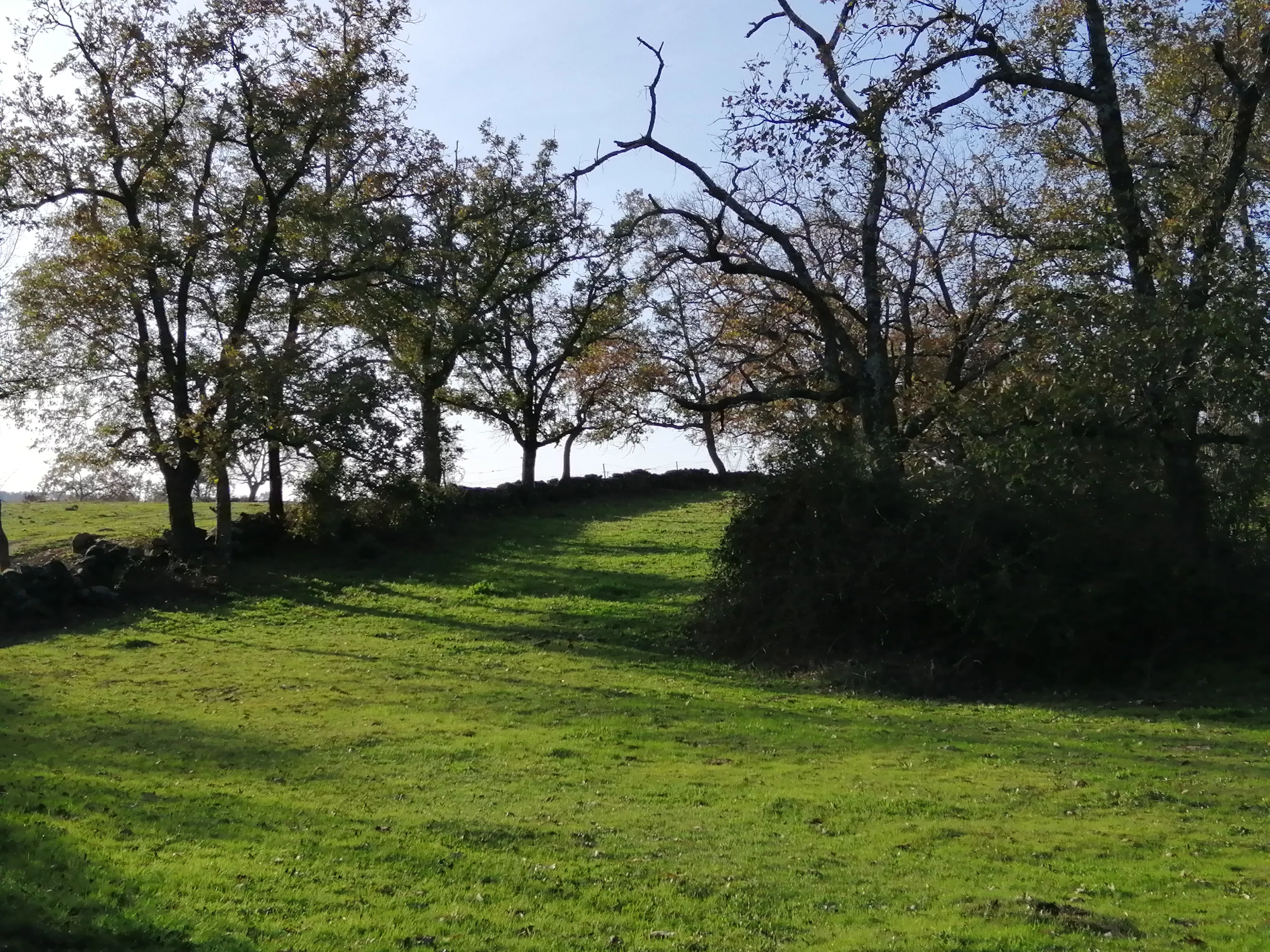 Terreno en venta