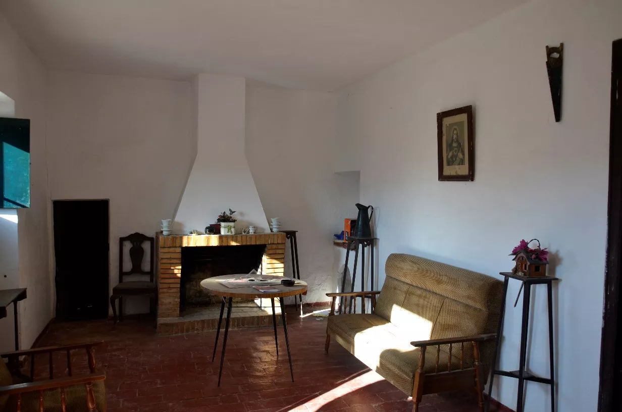 Finca de olivar ecológico en Algodonales | Cádiz | 86 ha