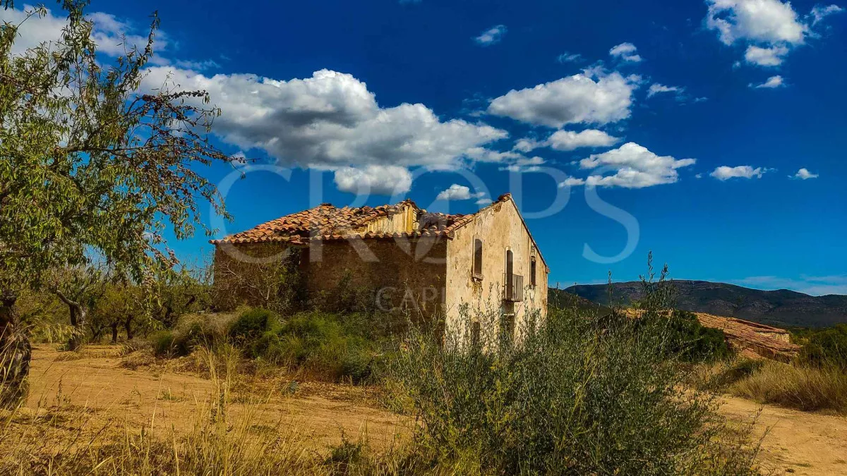 Finca Agrícola y Residencial en Castellón