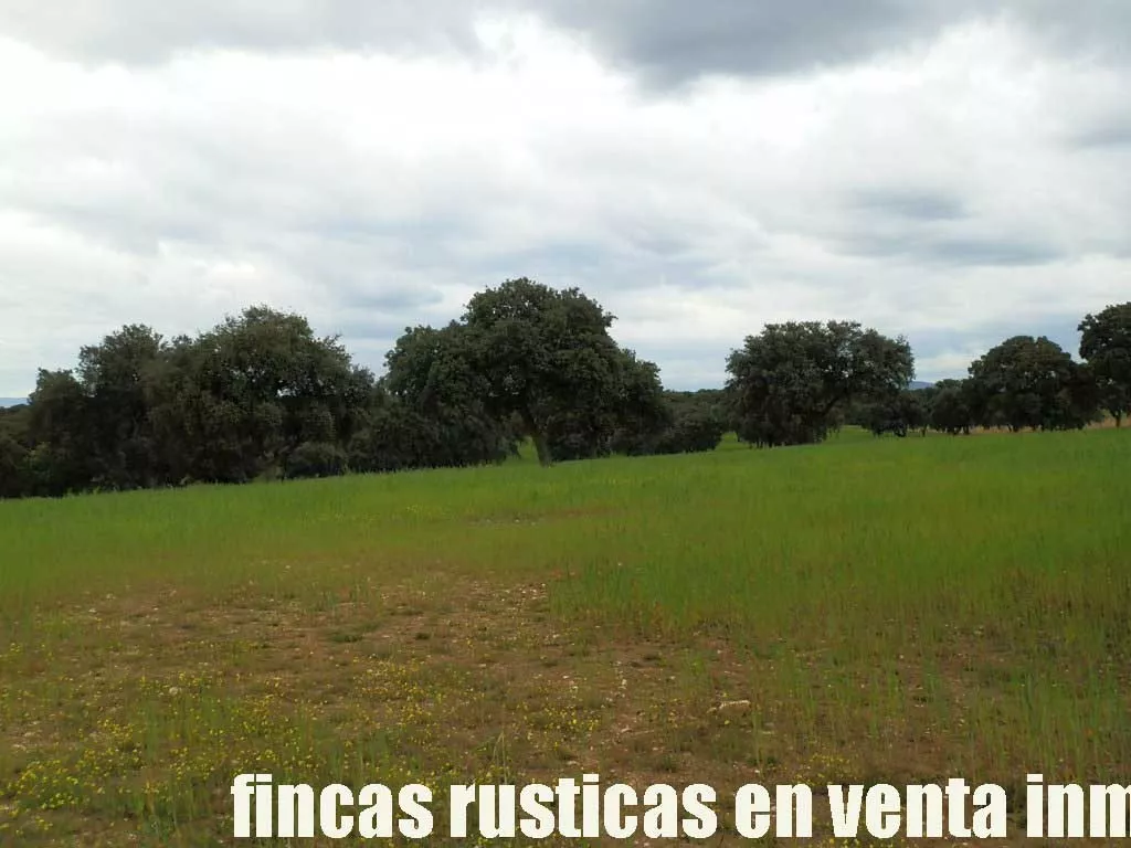 finca en venta 150 has. ganadera en Toledo