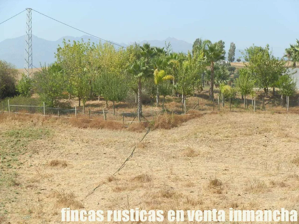 finca en venta inmancha 6 has. para caballos 