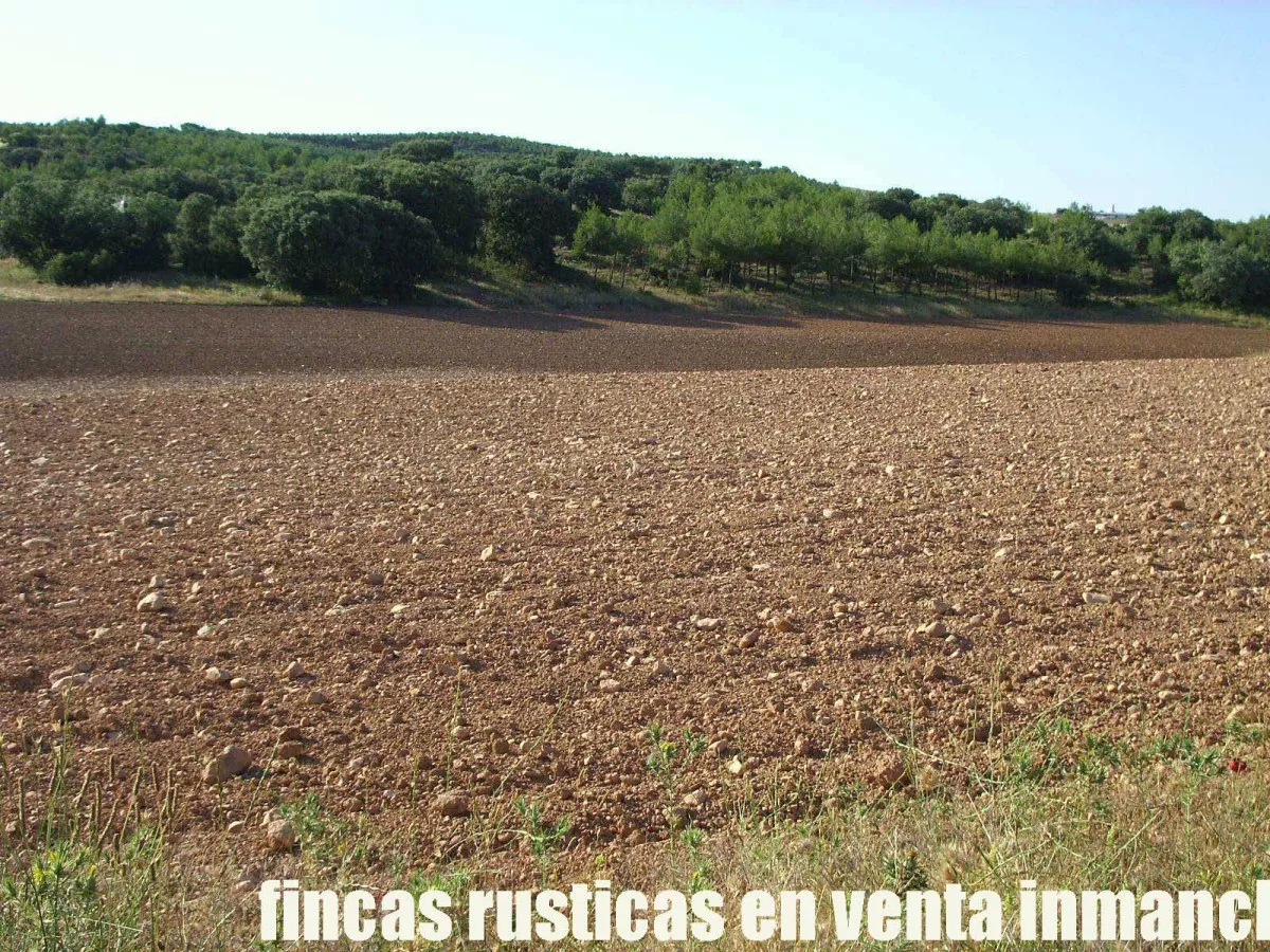 finca venta 256 has. labor secano caza menor