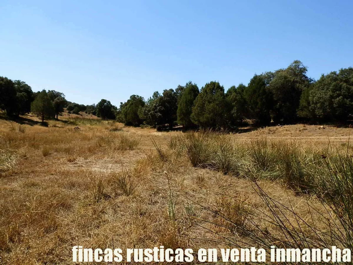 finca en venta 540 has. labor secano caza 