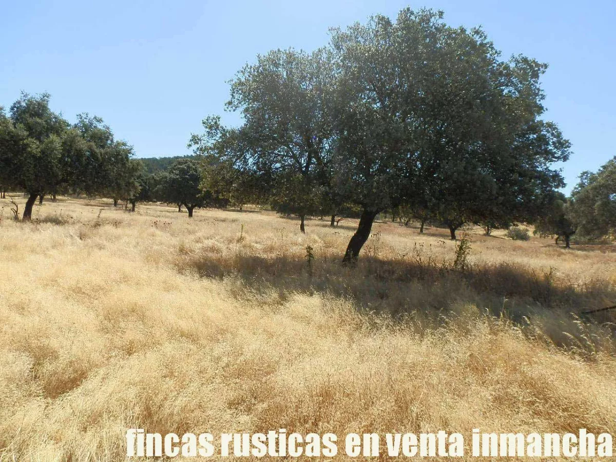 finca en venta 350 has. labor secano caza 