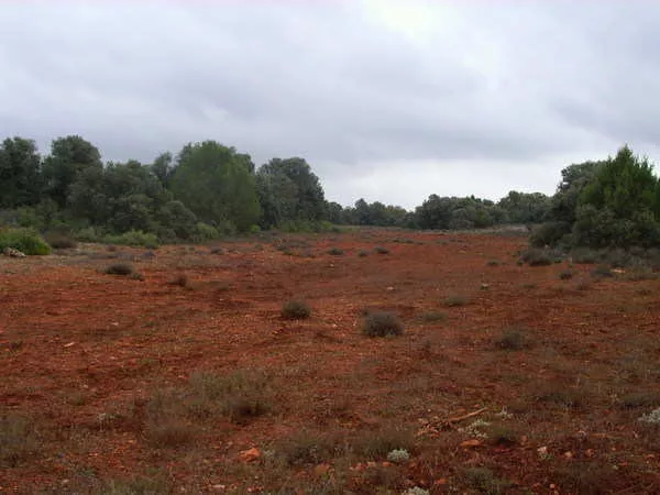 finca en venta 660 has. labor secano caza 