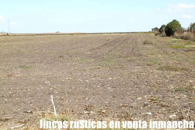 Venta de Terreno de regadío en Cádiz