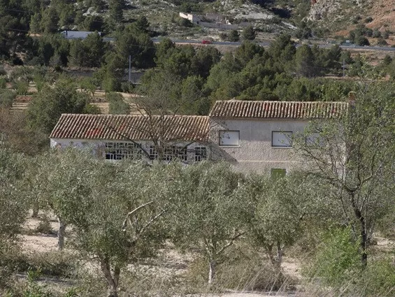 Casa en finca  32 has olivos y viñedos