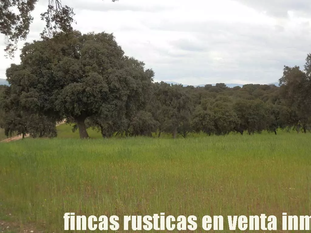 finca en venta 150 has. ganadera en Toledo