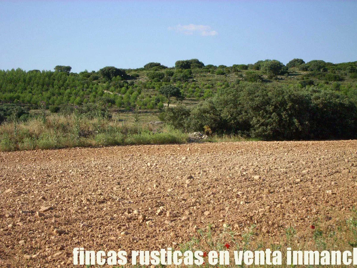 finca venta 256 has. labor secano caza menor