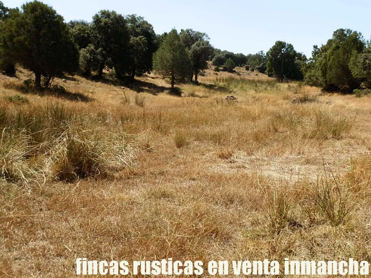 finca en venta 540 has. labor secano caza 