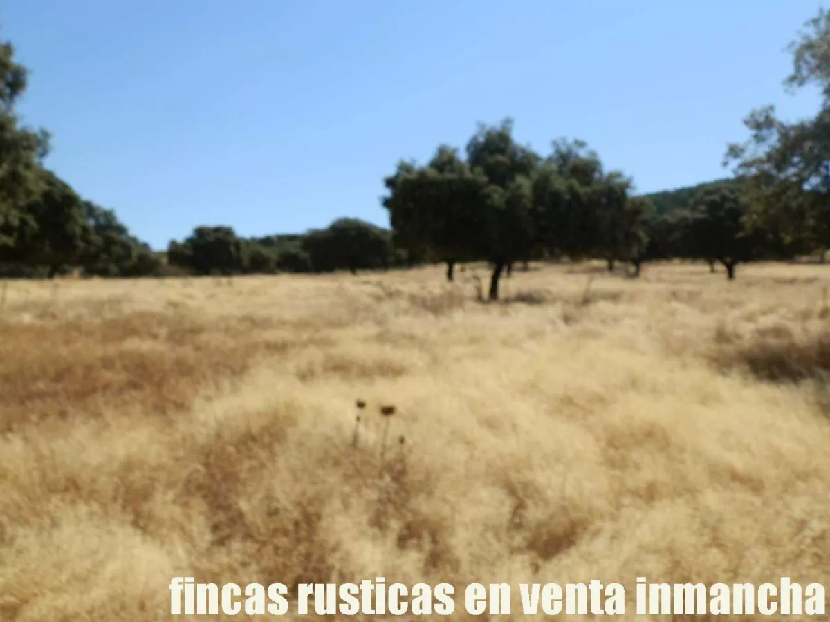 finca en venta 350 has. labor secano caza 
