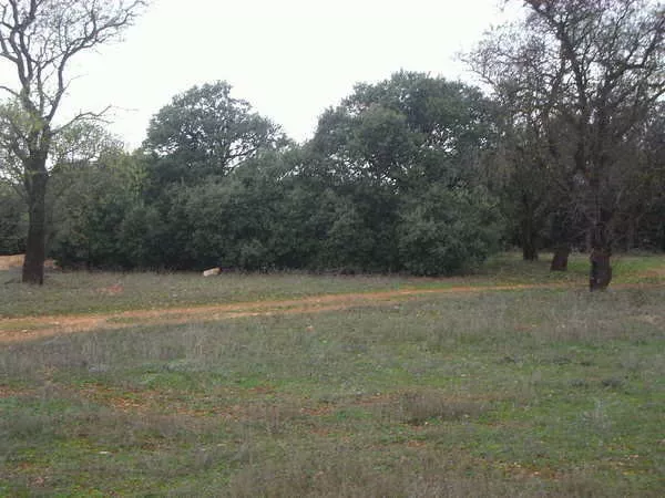 finca en venta 660 has. labor secano caza 