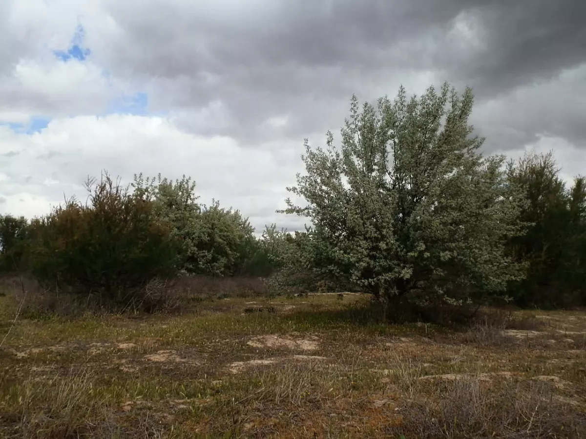 finca en venta 309 has. labor secano caza 