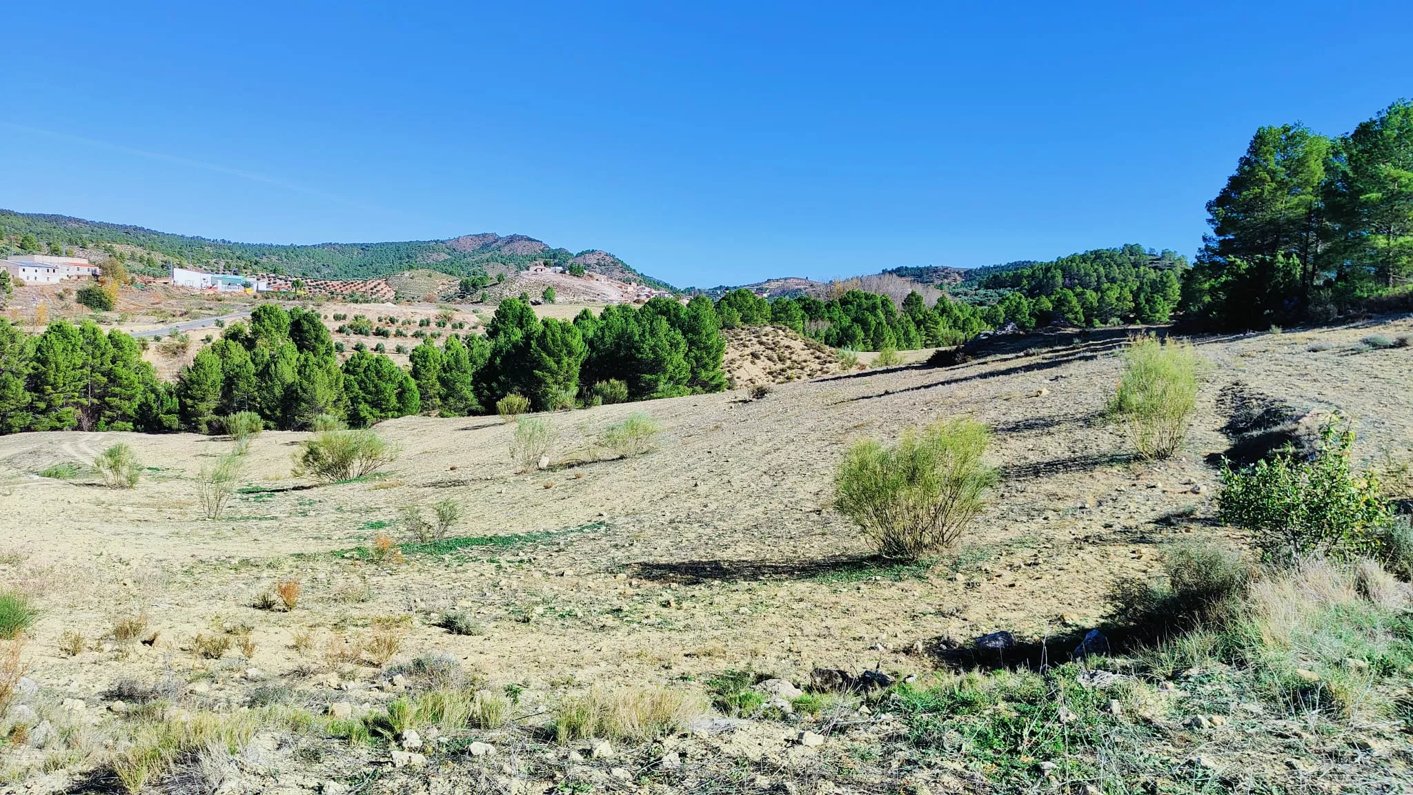 FINCA 191 HECTÁREAS
