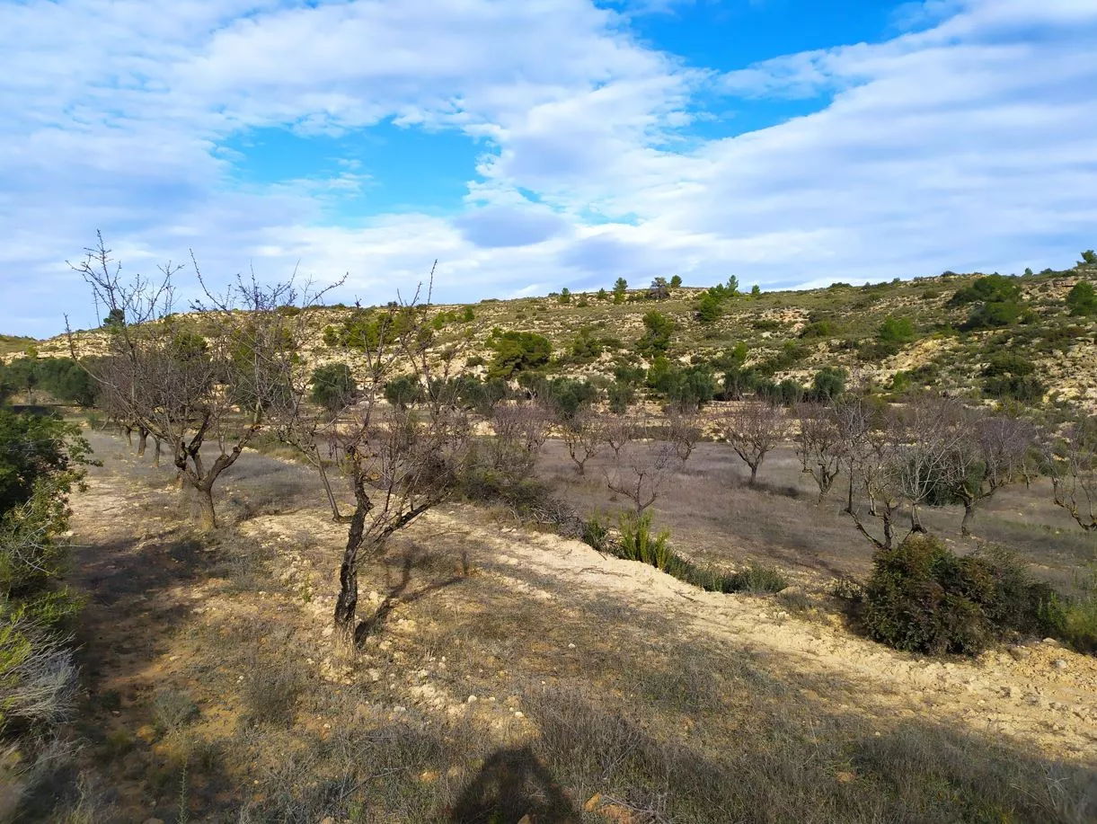 Finca rústica en Maella (Bajo Aragón)