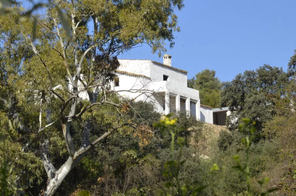 Finca de olivar ecológico en Algodonales | Cádiz | 86 ha