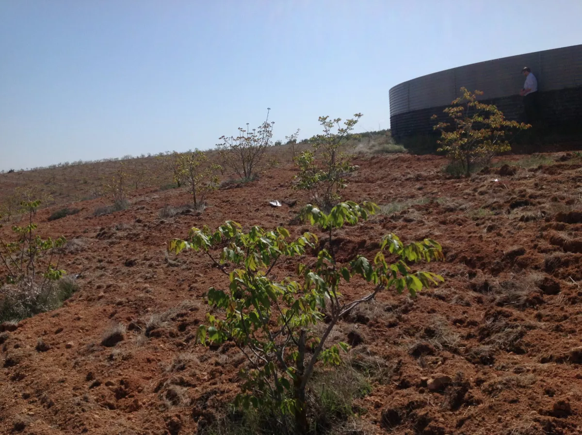 VENTA DE FINCA