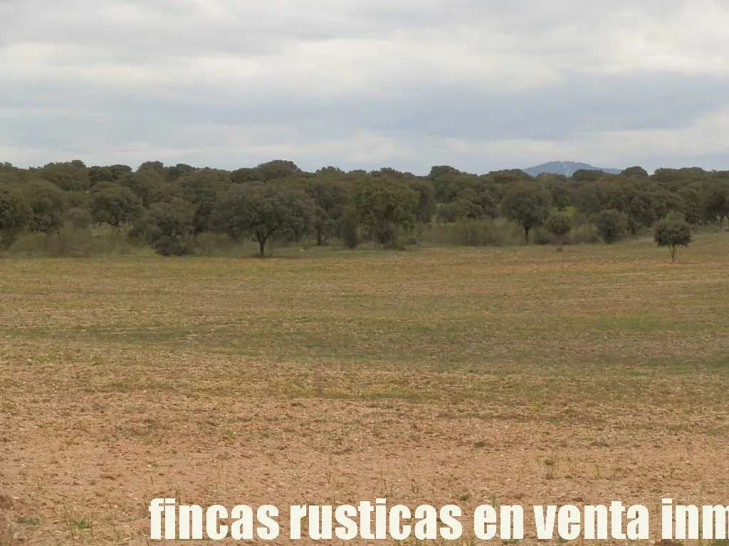 finca en venta 150 has. ganadera en Toledo