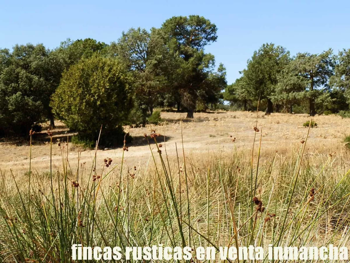 finca en venta 540 has. labor secano caza 