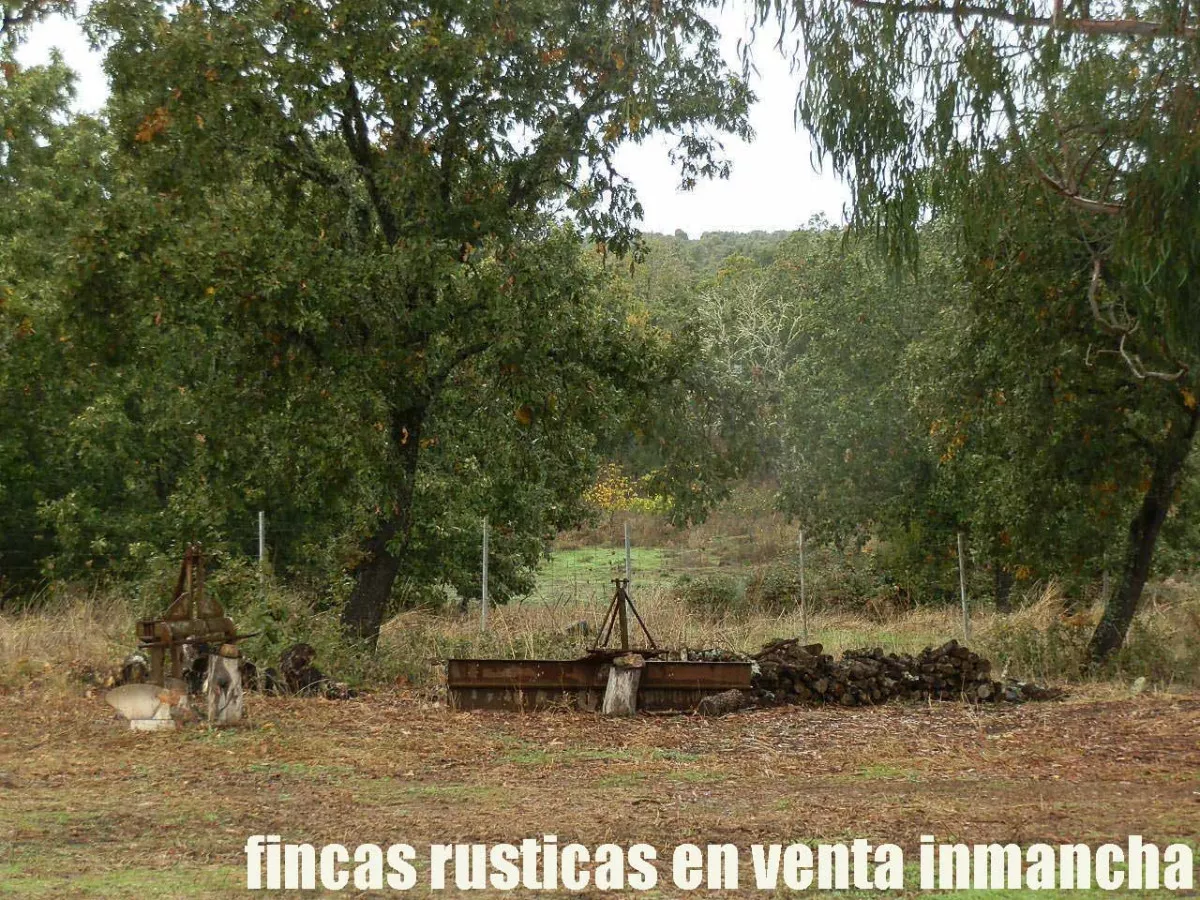 finca en venta 63 has. labor secano caza 