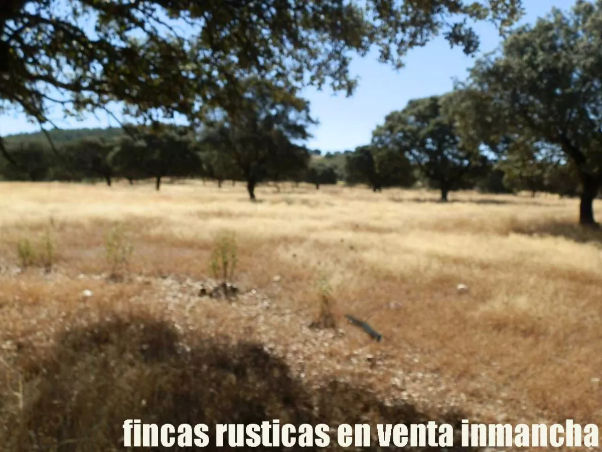 finca en venta 350 has. labor secano caza 