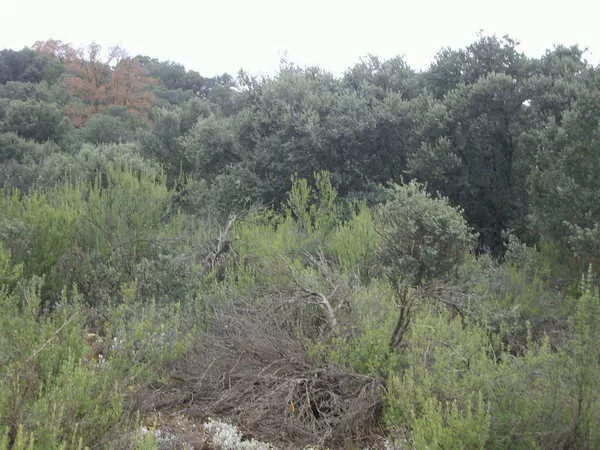 finca en venta 660 has. labor secano caza 