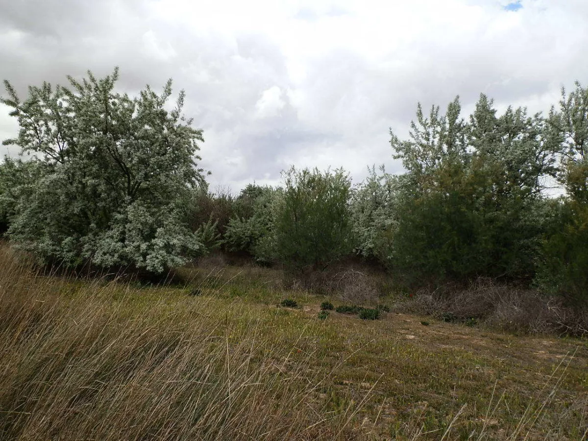 finca en venta 309 has. labor secano caza 