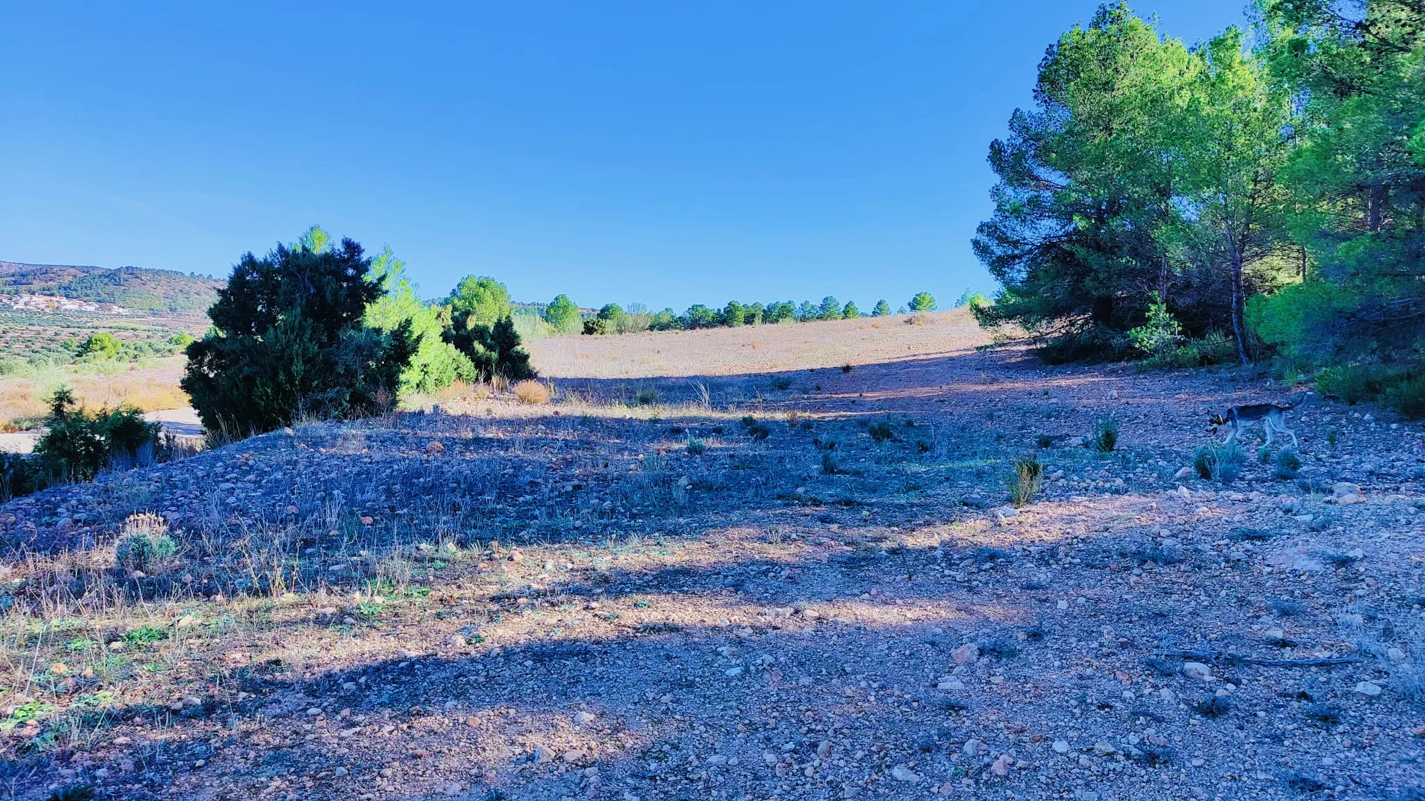 FINCA 191 HECTÁREAS