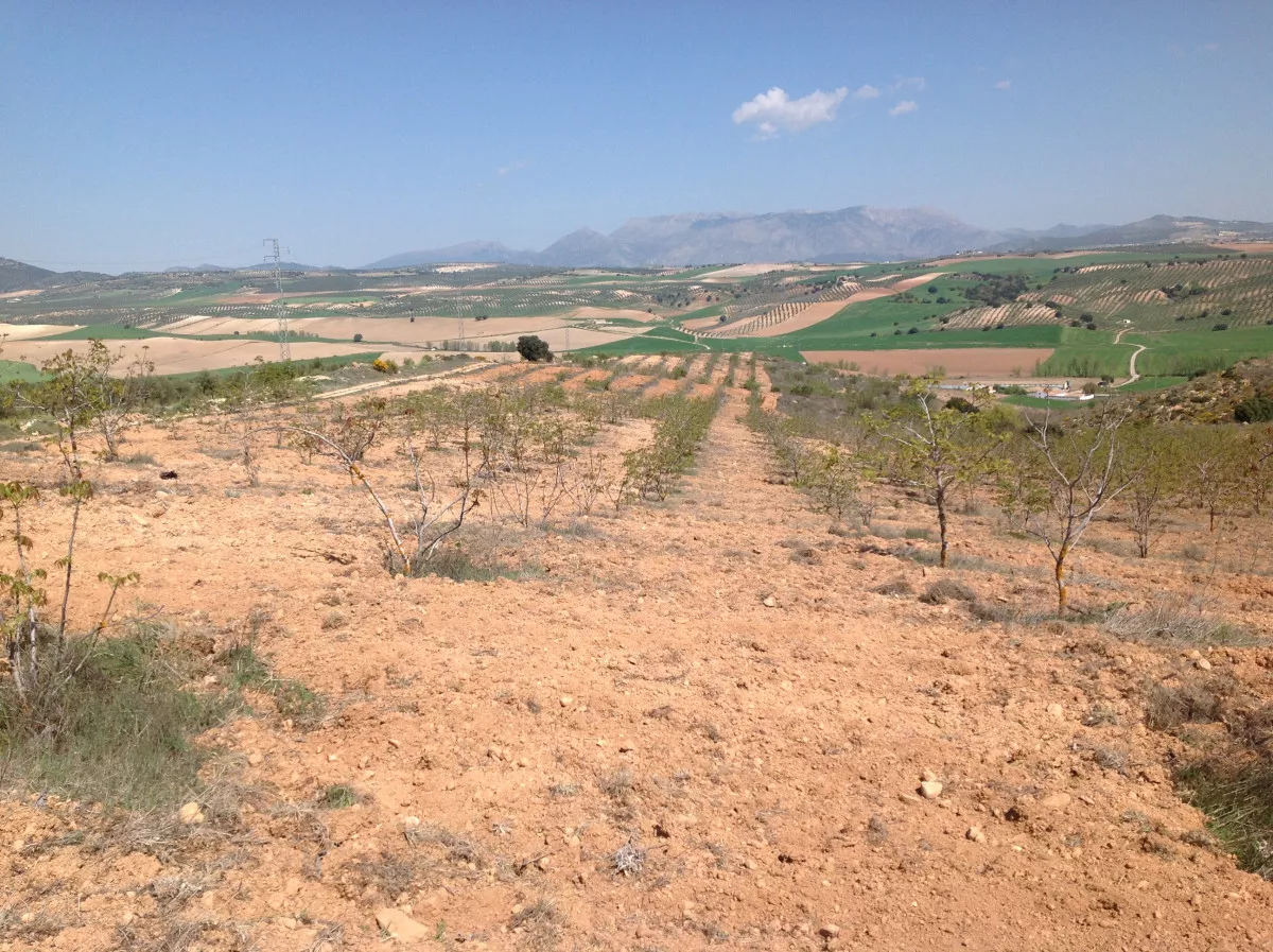 VENTA DE FINCA