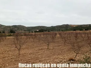 finca en venta 321 has viña olivar caza menor