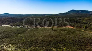 Finca agrícola de regadío en Huelva