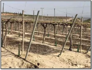 FINCA EN ALHAMA DE MURCIA