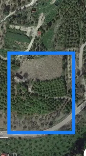 FINCA REGADÍO ALOZAINA