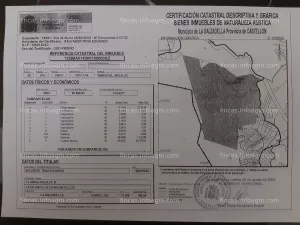 Terreno de 200 hectáreas en la salzadella