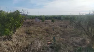 Terreno agrícola con agua y balsa