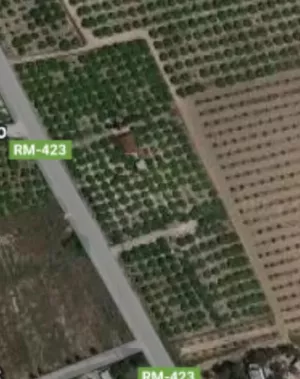 Finca 12,5 tahullas con casa