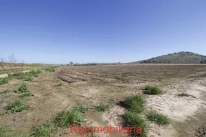 parcela de regadio en venta en Medellin