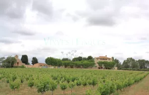 Masia medieval con viñedo en el Penedès