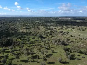 Finca en venta Zona Cáceres