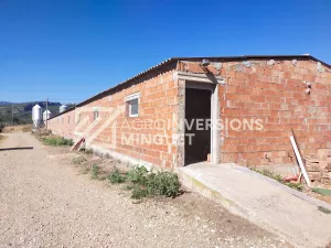 Se Vende Granja de Cerdas en Lleida