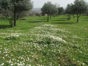Finca Recre e La Vera Ref. 1505
