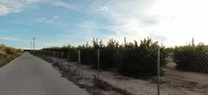FINCA DE REGADÍO DE CÍTRICOS -FUENTE LIBRILLA