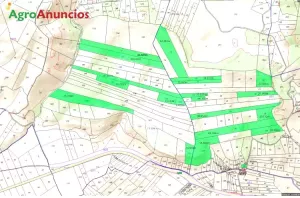 Finca de caza con casa en Granada