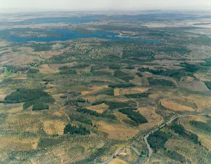 Dehesa en Cáceres
