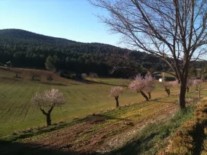 FINCA CINEGETICA Y DE RECREO EN VALENCIA