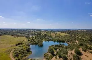 FINCA CINEGETICA EN HUELVA - 1461