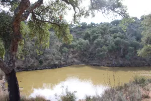 FINCA DE CAZA Y CORCHO EN HUELVA - 1447
