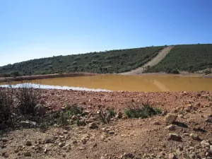 FINCA CINEGETICA EN CIUDAD REAL - 1416